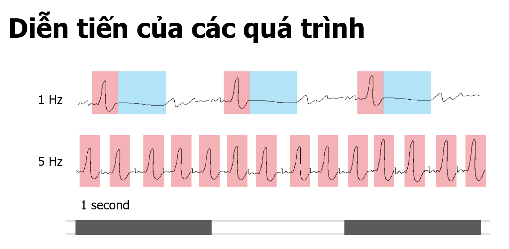 Giá máy kích thích từ trường xuyên sọ