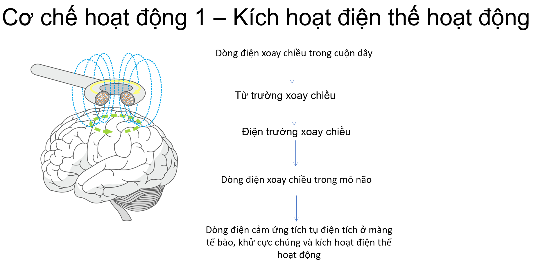 Máy kích thích từ trường xuyên sọ